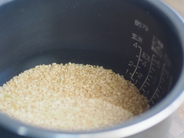 玄米は6時間以上水に浸ける