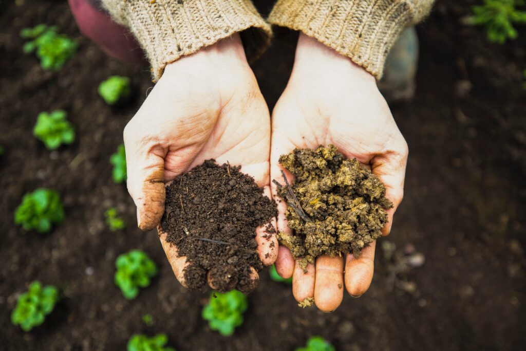 微生物が土壌を豊かにする