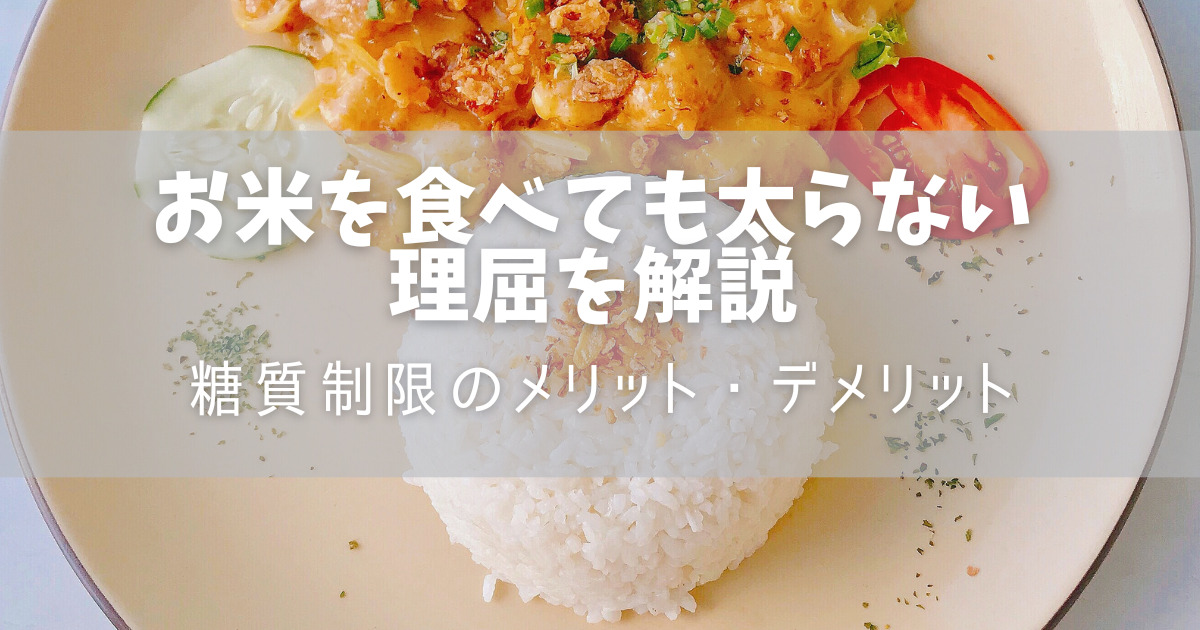 【体験談】お米を食べても太らなかった理屈